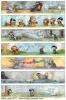 The History of mr. Potter